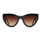 Phoenix / Black Tortoise